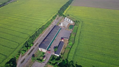 Luftaufnahme von Wirtschaftsgebäuden, die von landwirtschaftlichen Feldern umgeben sind