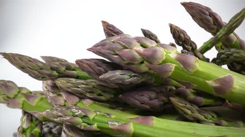 Spargel 05
