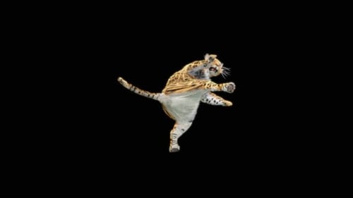 15 Leopard Dancing HD
