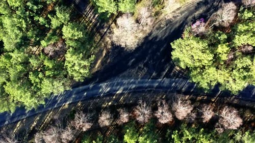 Crossroads in the forest, aerial view from drone