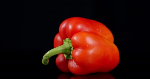 Fresh Red Bell Pepper Still Life on Black