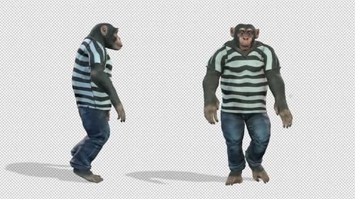 Chimpanzee Walk Pack