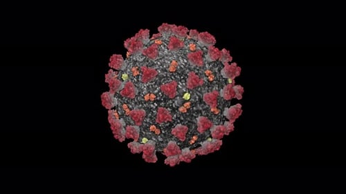 Rotating Virus Cell Microscopic 3D Model Animation