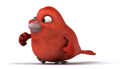Cartoon Red Bird Character Walking Animation
