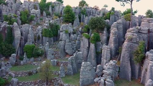 Paisagem paisagística com formações rochosas cinzentas e vegetação perene