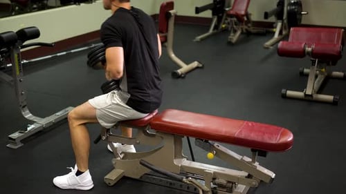 Young Adult Man Lifting Weights in Gym
