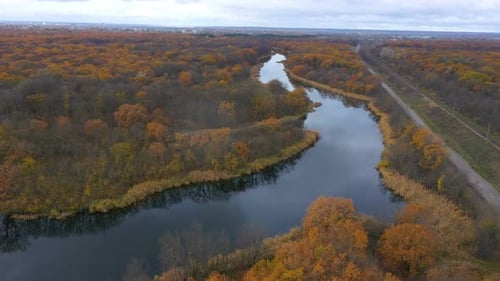 Autumn Forest With The Small Quiet Winding River