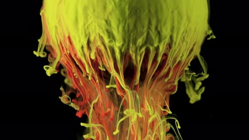 Abstract Red and Yellow Ink Mixing on Black