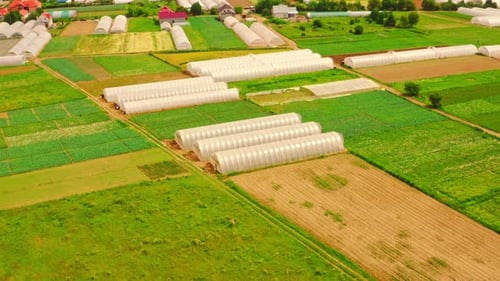 Aerial View of Green Agricultural Land with Greenhouses