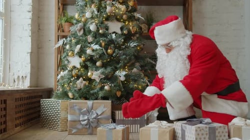 Santa Claus Arranging Christmas Gifts by the Tree