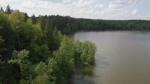 Landscape of a Lake in the Middle of the Coniferous Forest - Green Nature