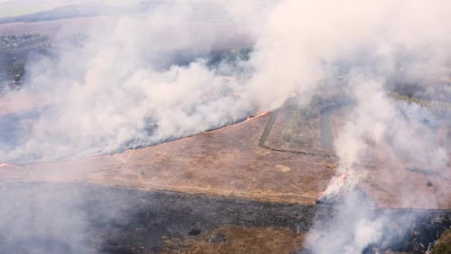Aerial wildfire and smoke, forest fire. Natural disaster, forest on fire. Field burning in summer