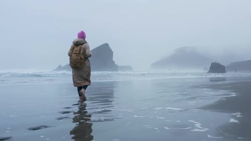 Backpacker Tourist Enjoying Nature Traveler Woman Walking By Wet Ocean Beach