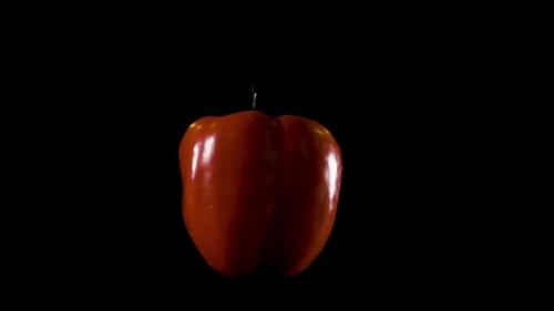 Bright Red Pepper Isolated on Black with Water