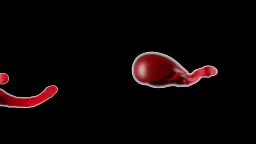 Fluid Red Microorganisms Flowing Abstract Motion