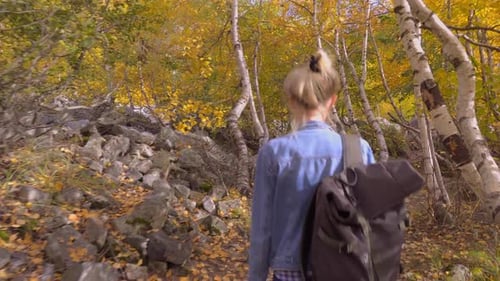 Woman Hikes Through Autumn Woods with Backpack