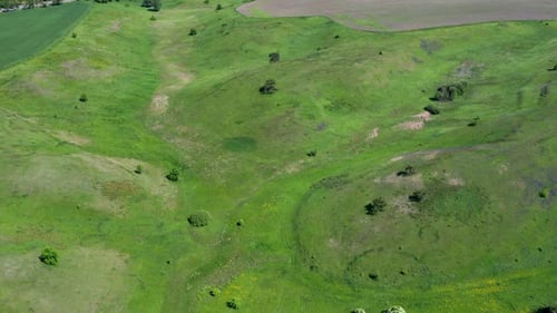 A beautiful flight in the spring on a quadcopter over a field with green grass.