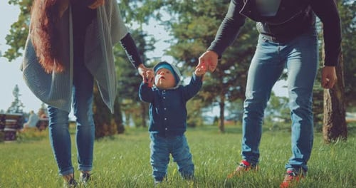 Baby First Steps on the Grass Parents Hold Hands of Their Baby for a Walk in the Park