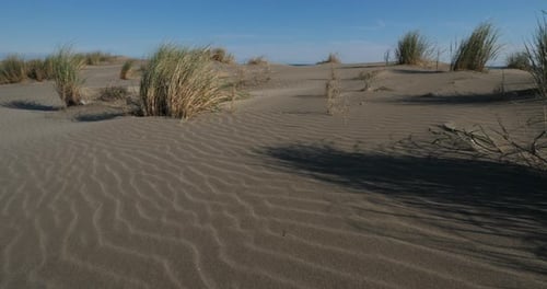 Wild landscape, Espiguette, Camargue, France. Sand landscape, Espiguette, Gard department, France