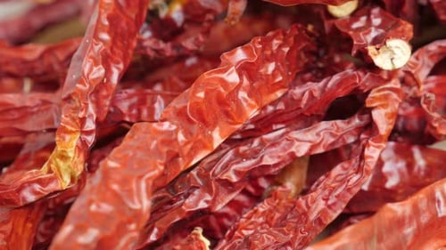Red Capsicum chilli peppers before being processed into powder 4K tilting video