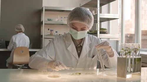 Medical Scientists Working With Plant Samples in Laboratory