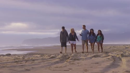 Group of friends walking along beach together