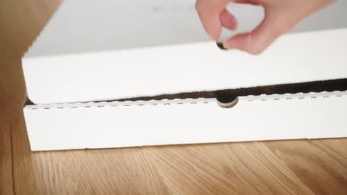 Pizza Delivery Unveiled Inside Cardboard Container