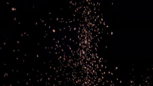 Super Slow Motion Coffee Seeds Splashing