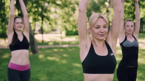 Three Women Stretching in a Grassy Park