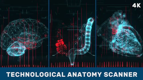 Vertikaler Scanner für technologische Anatomie. Teil 1