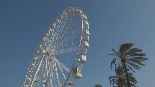 White Ferris Wheel in Tropical Setting Under Blue Sky