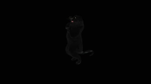 3D Animated Roaring Black Panther Loop