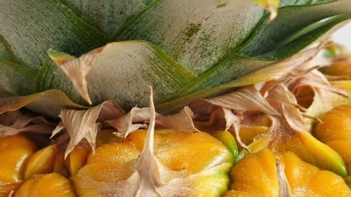 Ananasfrucht-Nahaufnahme auf weißem Hintergrund