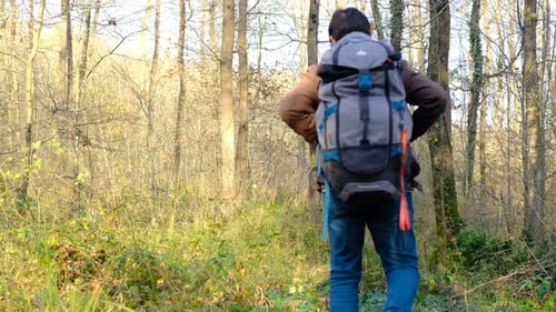 Walking Autumn