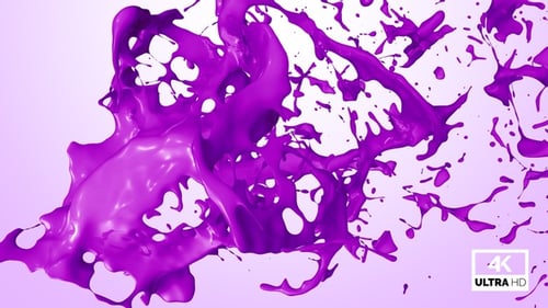 Dynamic Purple Paint Splatter Fluid Transition