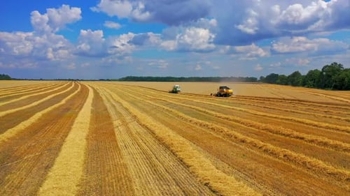 Combine harvester working on a wheat field. Combine harvester Aerial view.