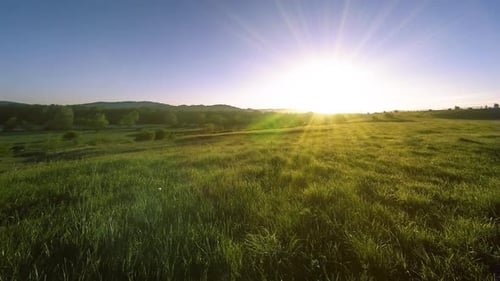 UHD Mountain Meadow Timelapse at the Summer. Clouds, Trees, Green Grass and Sun Rays Movement.