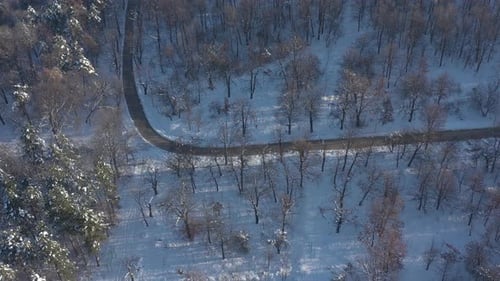 Above the frozen forest by winter 4K aerial video