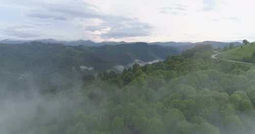Mist Covering Curvy Winding Mountain Road on the Top of Green Hills. Aerial, Drone View