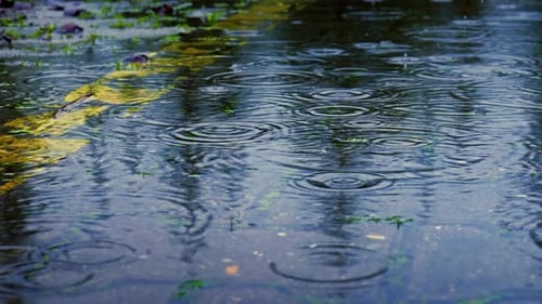 Regen (4K)