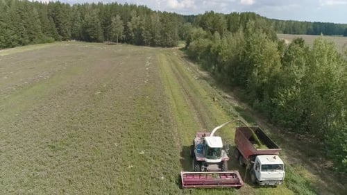 Aerial view of two Combines harvesting, trucks and tractor on grass field. 37