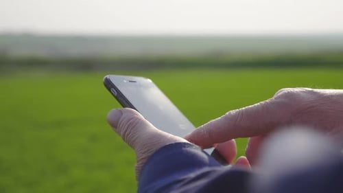 Agronomist Mature Man Using Smartphone in Agriculture Farm