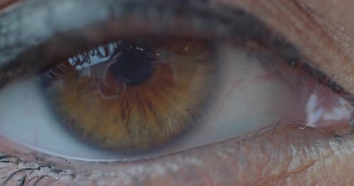 Makro-Nahaufnahme des braunen Frauenauges. Menschliches Auge, Wimper, Augenlid, braune Iris, Gesicht. Natürliche Schönheit.