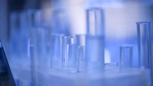 Test Tubes Placed in Rack in Medical Lab