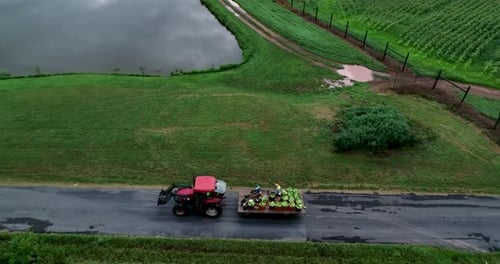 Aerial view of tractor pulling a flatbed filled with corn freshly picked from the field.