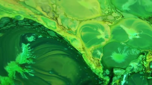 Liquid Paint Spreads