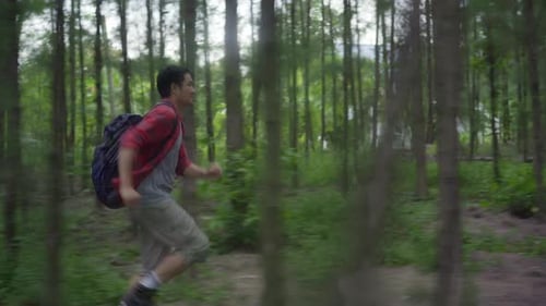 Wanderer Asiatischer Backpacker auf Wanderabenteuer und fühlt Freiheit beim Spazierengehen im Wald.