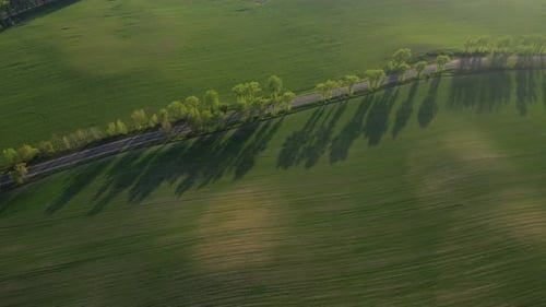 Luftaufnahme einer grünen Wiese und einer Straße