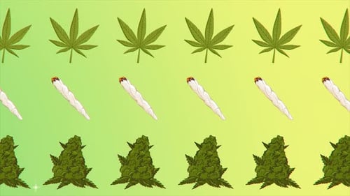 Cannabis Green Leaf Frame Bud and Joint with Copy Space on Background Isolated Gif Animation Pattern
