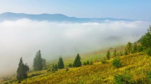 Fog Rolling Through Mountainous Rural Grassy Landscape